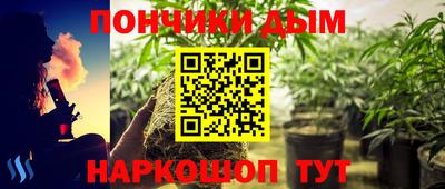 МДПВ Краснознаменск