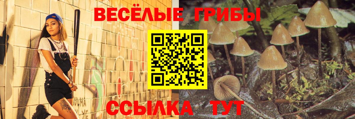 Коммунар  Псилоцибиновые грибы MAGIC MUSHROOMS  Вход с VPN 